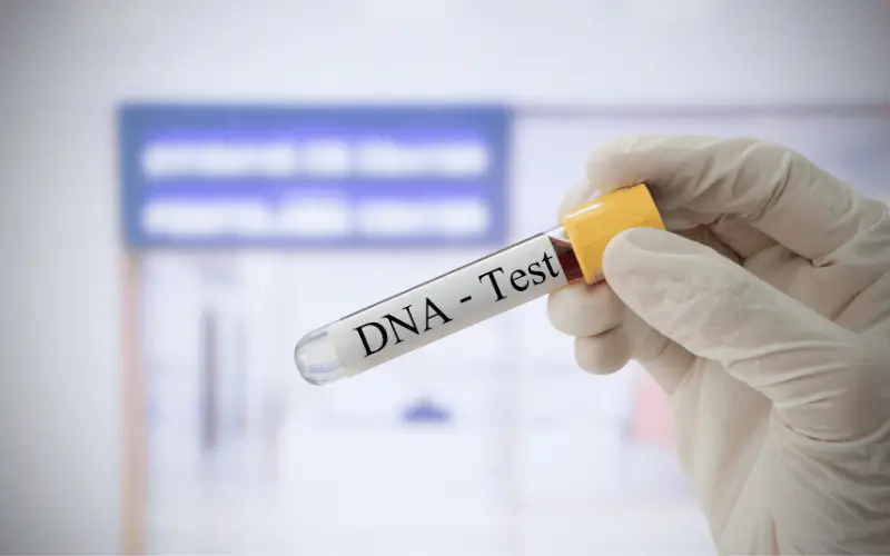 Genetic Factors - Your DNA's Role in RA Development