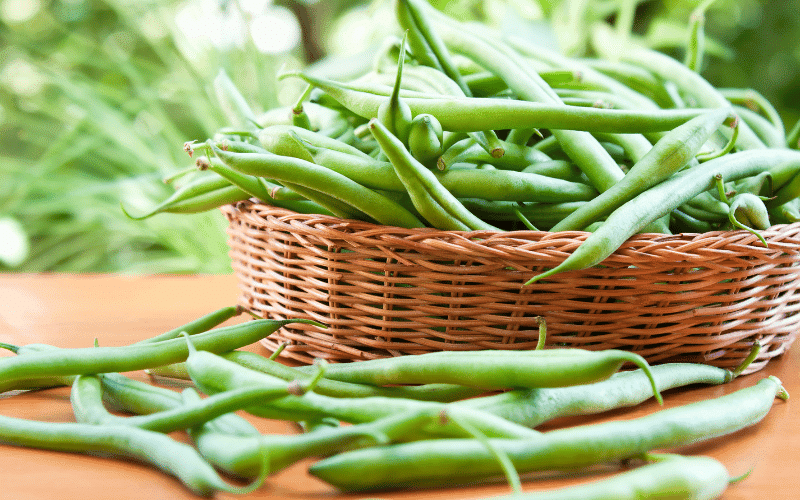 Green Beans A Low-Potassium Vegetable with Multiple Health Benefits