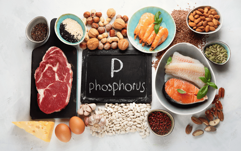 High Phosphorus Foods The Mineral Overload That Can Strain Your Kidneys