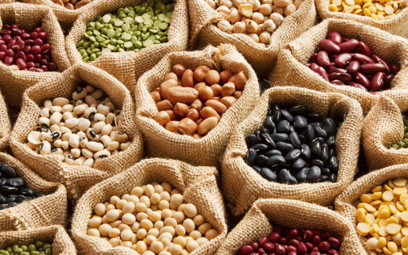 Legumes Protein-Packed and Heart-Healthy