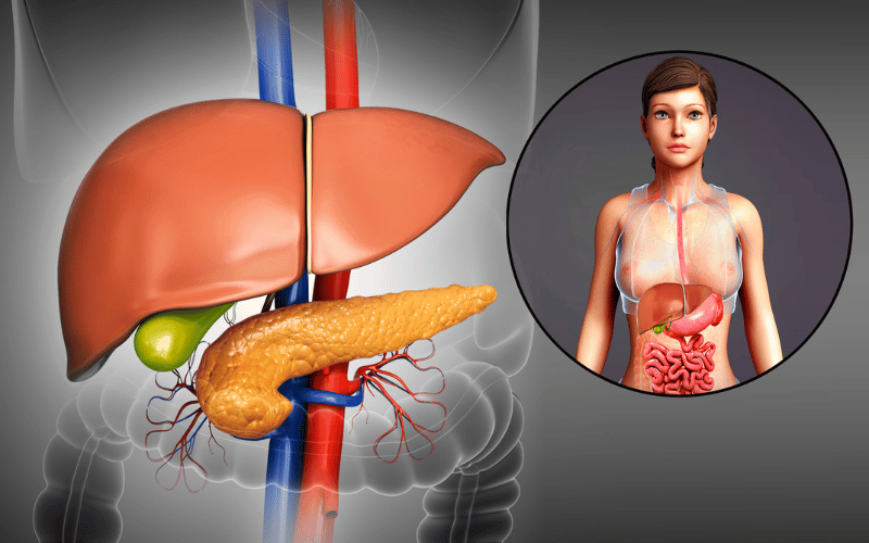 Symptom 10. Enlarged Liver or Gallbladder