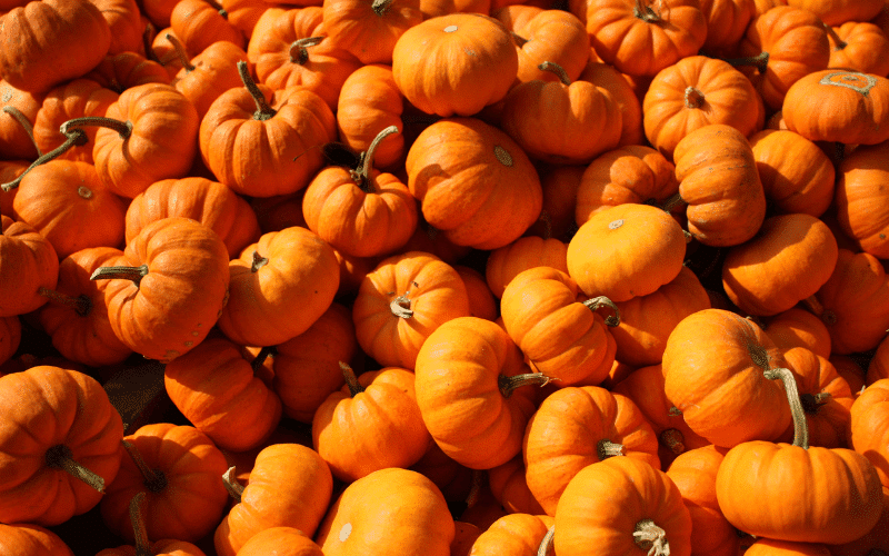 The Power of Pumpkin for UC Flare Management