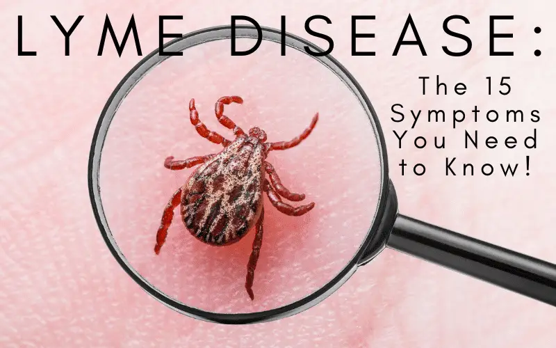 Unraveling Lyme Disease- The 15 Symptoms You Need to Know