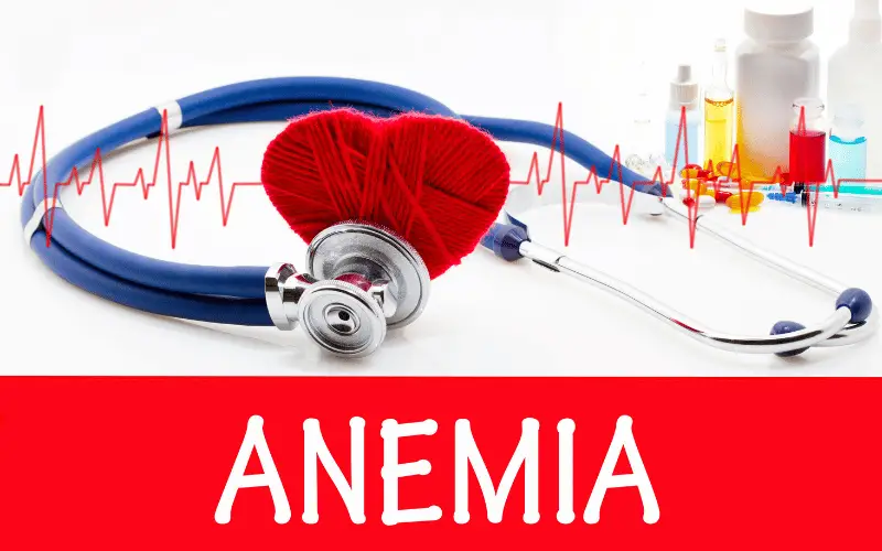 Pernicious Anemia 10 Symptoms You Shouldn't Ignore