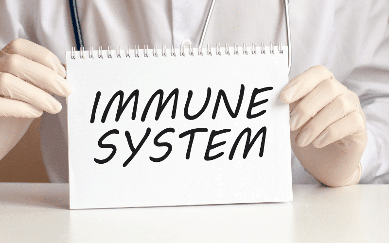 Immune System Dysfunction When Defense Turns Against