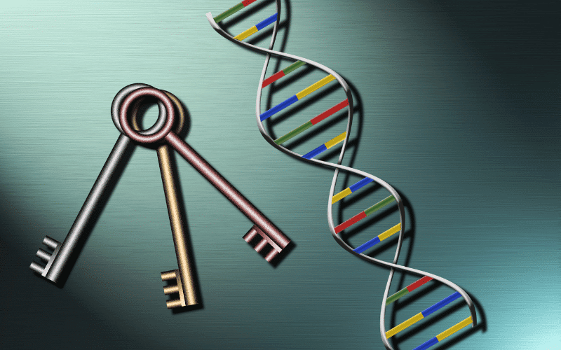 The Role of Genetics A Family Affair