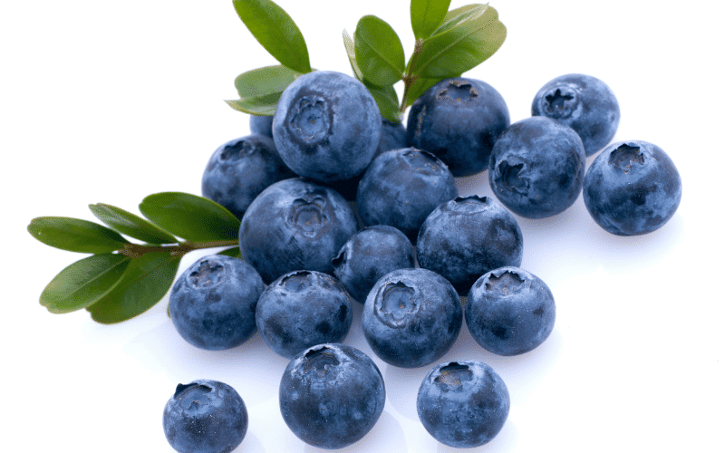 Blueberries The Liver's Sweet Defender