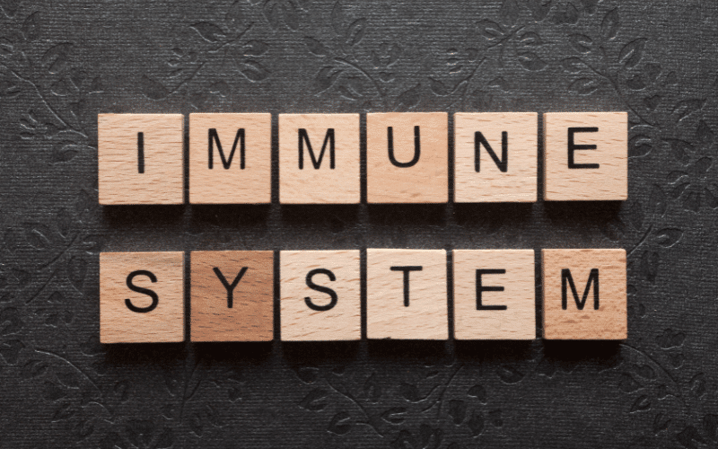 Immune System Imbalance The Internal Trigger of Eczema