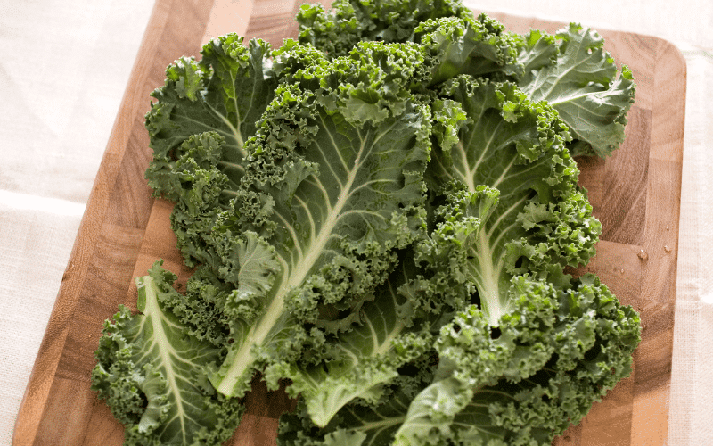 Kale The Superfood with an Iron Boost