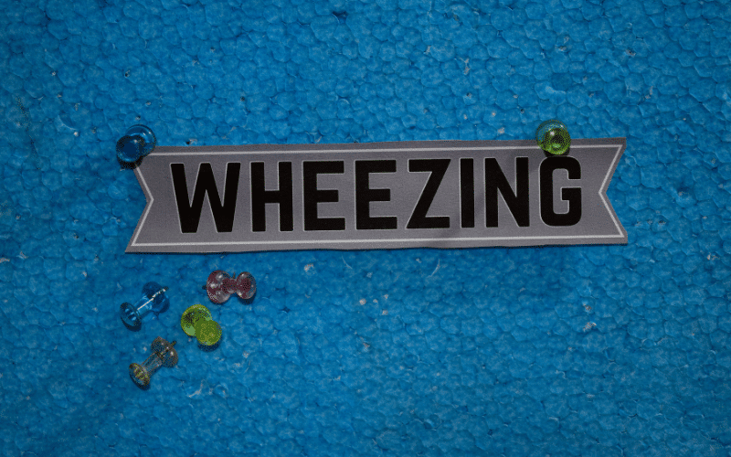 Wheezing or Stridor A Disturbing Sound