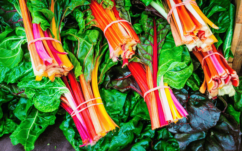 Swiss Chard A Vibrant, Nutritious Green Packed with Iron