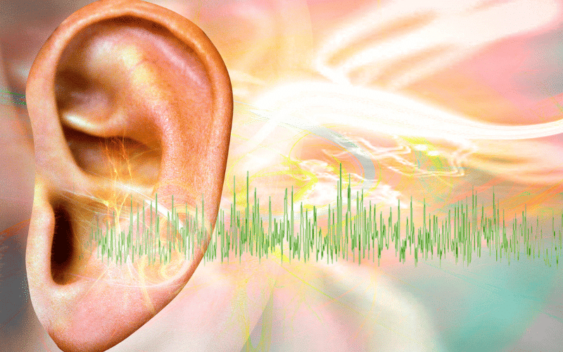 Tinnitus The Ringing Reminder of Anemia