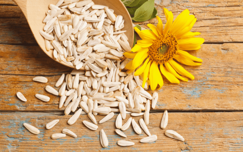 Sunflower Seeds A Crunchy, Nutrient-Dense Snack with an Iron Boost