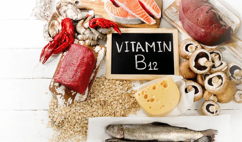 Cause of Anemia: Vitamin B12 Deficiency