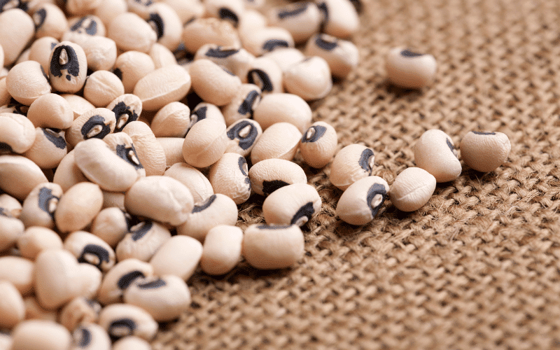 Black-eyed Peas A Southern Staple with an Impressive Iron Content