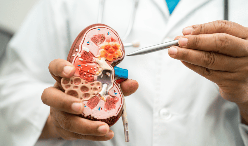 Cause of Hypochromic Microcytic Anemia: Chronic Kidney Disease