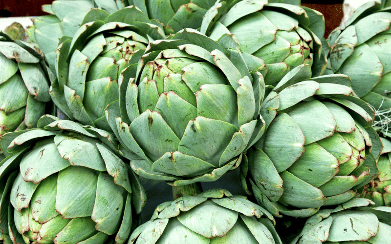 Artichoke A Liver-Supporting Vegetable