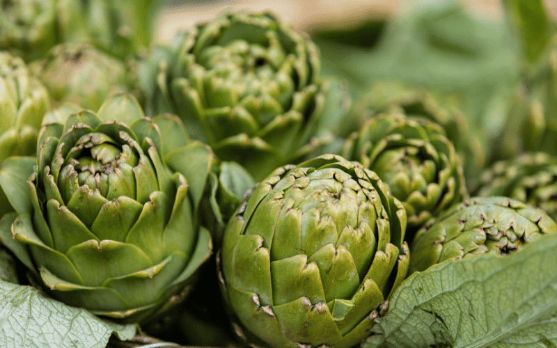 Artichokes Liver-Boosting Bitter Greens