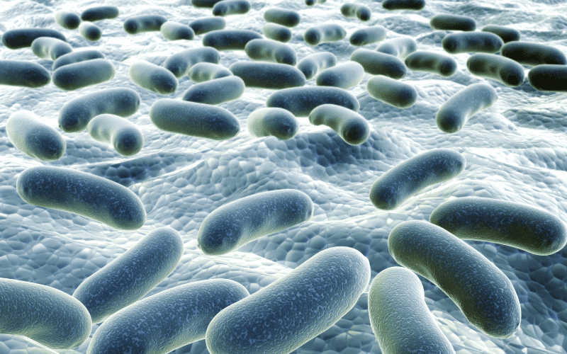 Bacterial Infections A Less Common but Serious Culprit