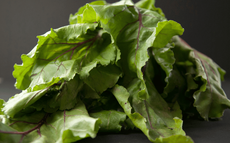 Beet Greens An Underappreciated Iron Source