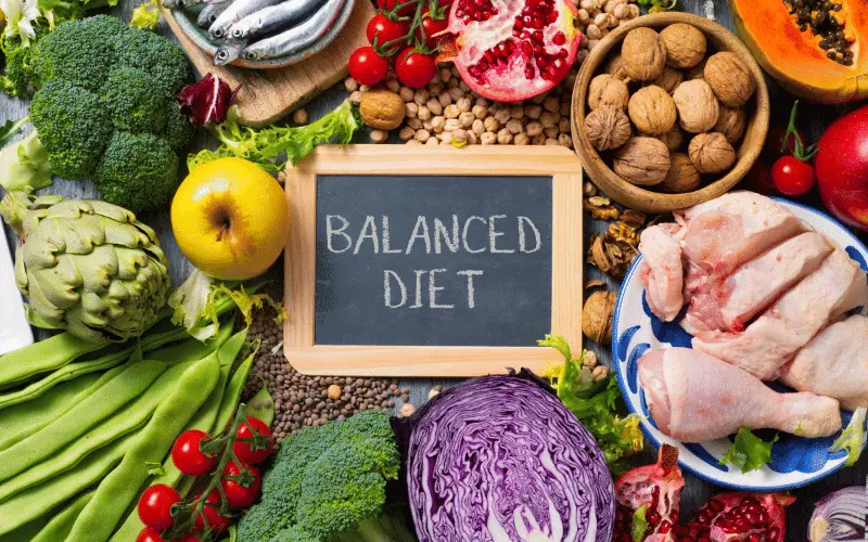 Establish a Balanced Diet