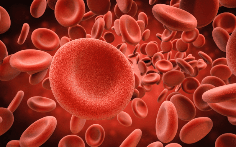 FAQs About Aplastic Anemia