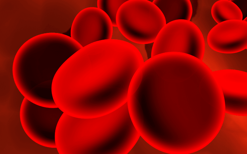 Frequently Asked Questions about Hemolytic Anemia