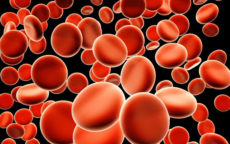 Frequently Asked Questions about Normocytic Anemia