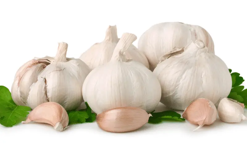 Garlic A Powerful Ally for Liver Health