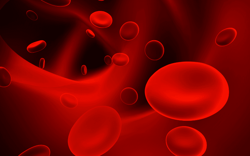 Hemolysis The Destruction of Red Blood Cells