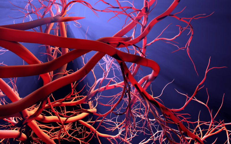 Microangiopathic Hemolytic Anemia (MAHA)