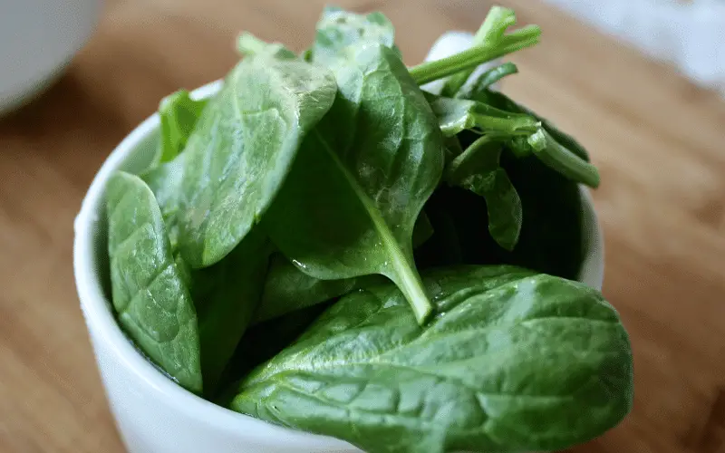 Spinach A Leafy Green Powerhouse