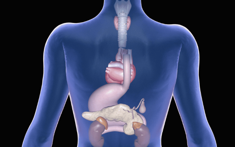 Exploring the MEN Spectrum A Deep-Dive into 4 Types Of Multiple Endocrine Neoplasia