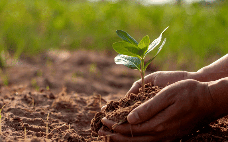 Soil and Iodine Deficiency The Environmental Connection