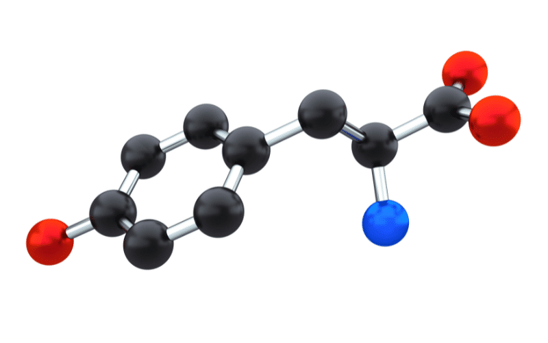 Tyrosine Kinase Inhibitors Blocking Cancer at the Molecular Level