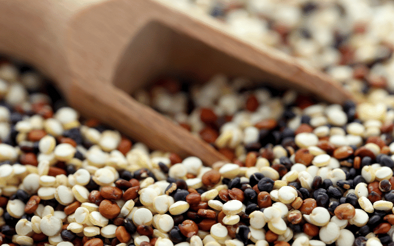 The Quintessential Quinoa A Complete Plant Protein Powerhouse