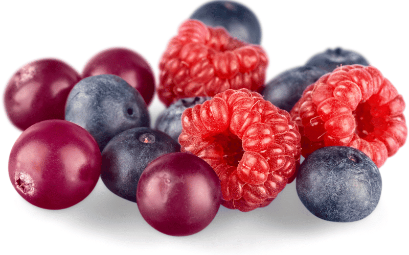 Berry Bonanza The Antioxidant Powerhouses