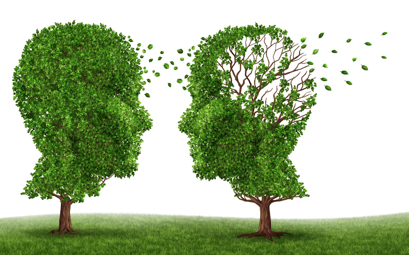 Signs of Progression to Late-Stage Dementia