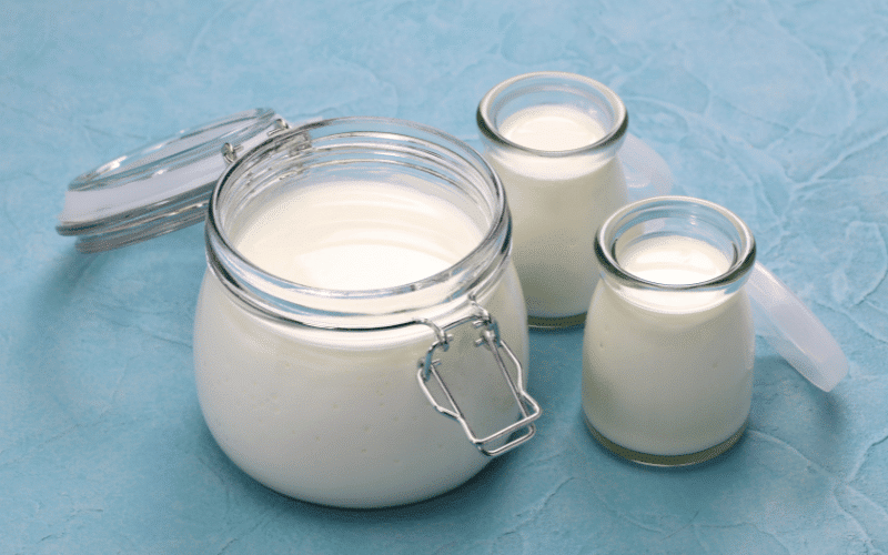 Harnessing the Power of Probiotics Yogurt and Kefir