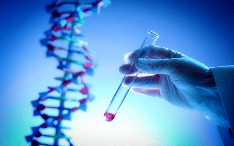 BRAF V600E Mutation The Genomic Marker