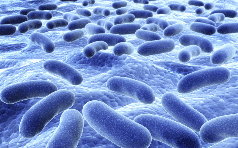 Bacterial Infections An Underestimated Threat