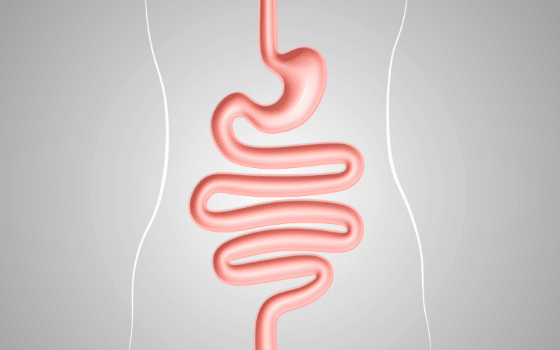 Gastrointestinal Complications - A Silent Harbinger of MODS