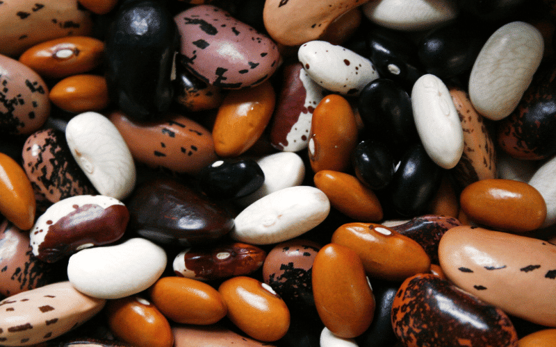 Mighty Legumes The Heart's Protein Punch