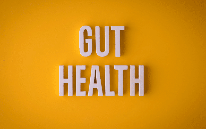 Optimize Your Gut Health