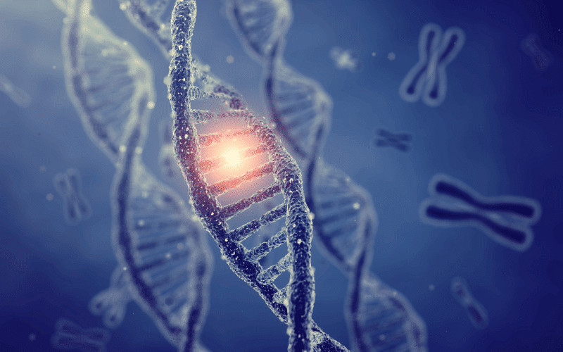PTEN Gene Mutations A Gateway to Cancer Development