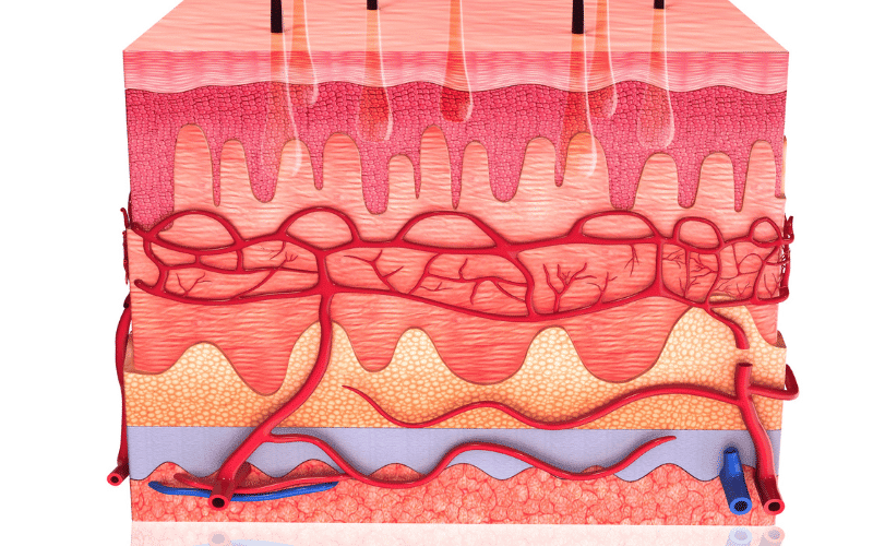 Skin Changes Unusual but Telling