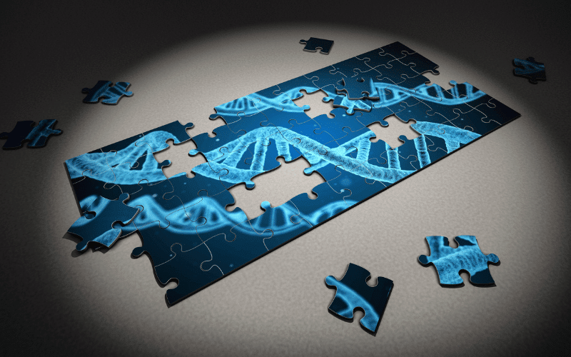 The Genetic Puzzle of Hashimoto's Thyroiditis