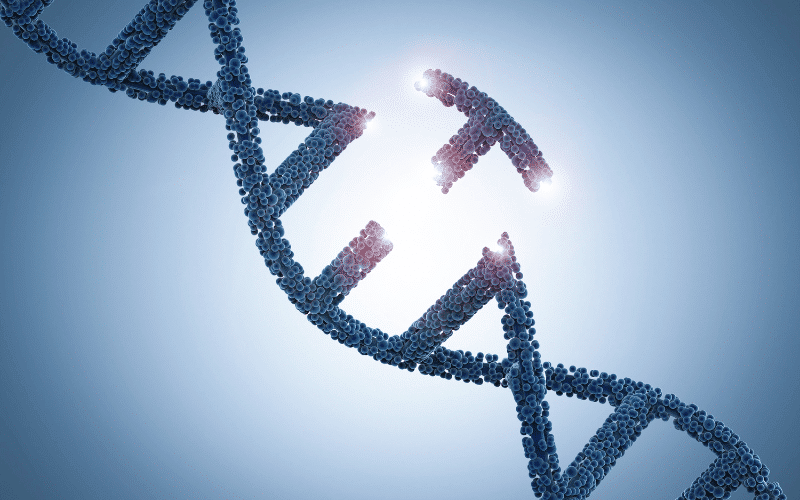 The Various Faces of PTEN Gene Mutations