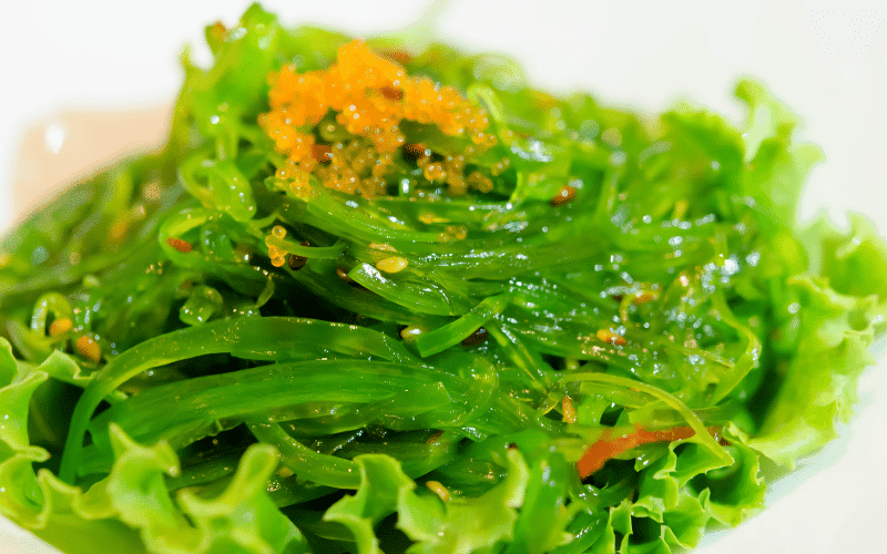 Welcome Seaweed for its Iodine Riches