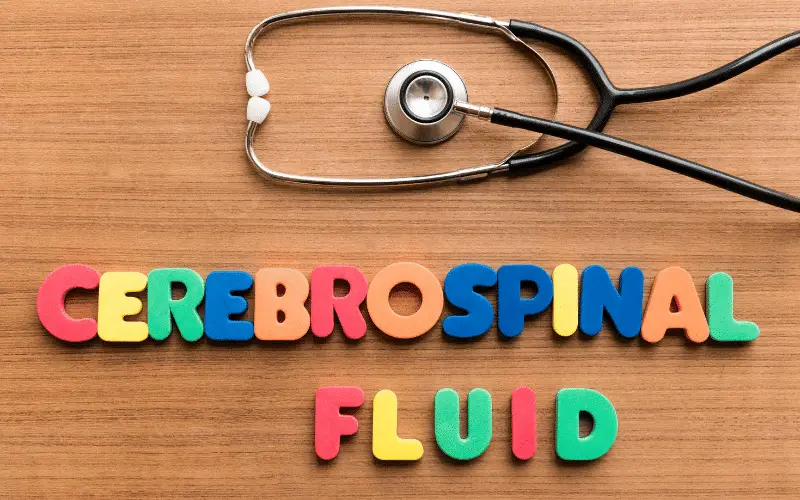 Catch it Early Recognize the 10 Symptoms of a Cerebrospinal Fluid Leaks